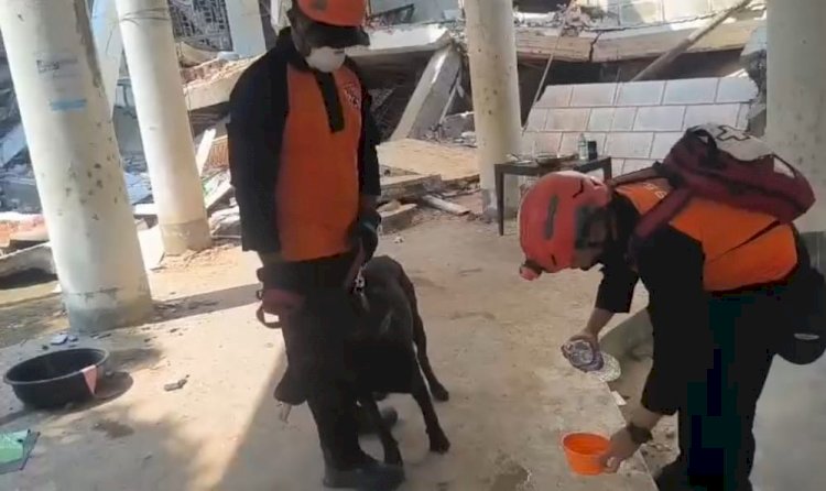 Tim K9 Polri Temukan Korban Dalam Operasi Kemanusiaan di Myanmar