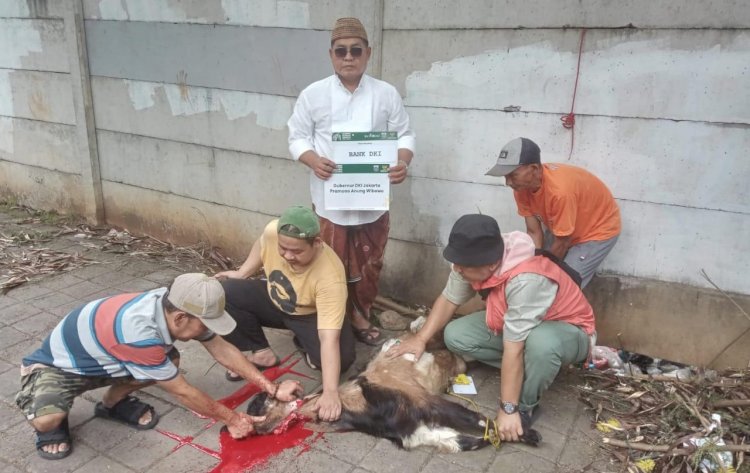 Kantor Ormas Jakartadil Sembelih Dua Hewan Qurban di Samping Gedung Apartemen Slipi
