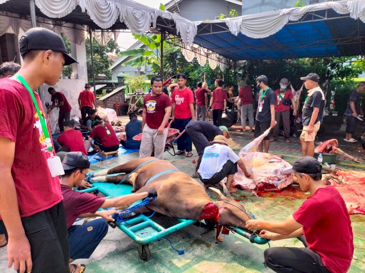 Masjid Jami Al Hidayah Bintara Sembelih Hewan Qurban 5 Ekor Sapi dan 42 Ekor Kambing