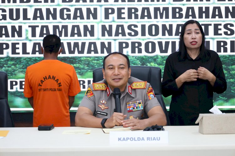Polda Riau Tangkap Penjual Lahan di Hutan Tesso Nilo