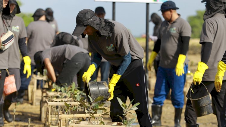 Kolaborasi Lintas Instansi, PLN UP2B Bali Hijaukan Pesisir Tanjung Benoa Melalui Penanaman Mangrove